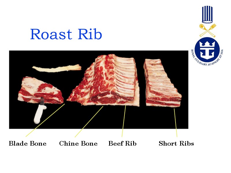 Roast Rib Blade Bone Chine Bone  Beef Rib Short Ribs